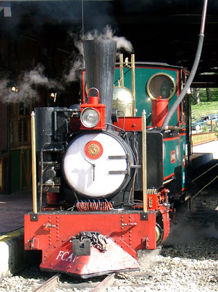 FCAF No.3 'Camila' carries a smokebox numberplate produced by Nigel. January 14 2004