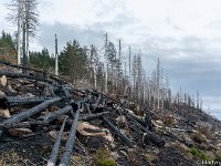 DSC3194 : Germany, HSB, Harz