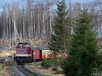 DSC3211 : Germany, HSB, Harz