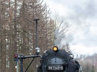 DSC3213 : Germany, HSB, Harz