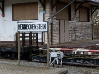 DSC3234 : Germany, HSB, Harz