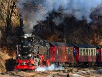 DSC3328-Edit : Germany, HSB, Harz