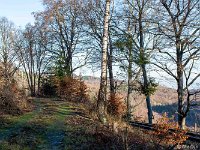 DSC3357 : Germany, HSB, Harz