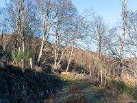 DSC3359 : Germany, HSB, Harz