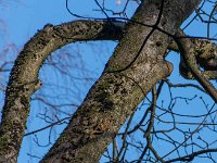 DSC3370 : Germany, HSB, Harz