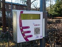 DSC3409 : Germany, HSB, Harz