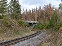 DSC2578 : Germany, HSB, Harz