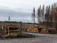 DSC2581 : Germany, HSB, Harz