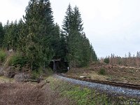 DSC2598 : Germany, HSB, Harz