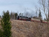 DSC2600-Edit : Germany, HSB, Harz