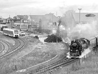 DSC2681-Edit : Germany, HSB, Harz