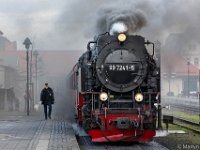 DSC2699 : Germany, HSB, Harz