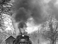 DSC2725 : Germany, HSB, Harz