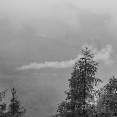 DSC 2995 : Germany, HSB, Harz