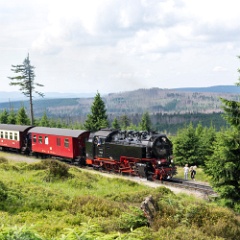 DSC 3033 : Germany, HSB, Harz