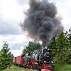 DSC 3077 : Germany, HSB, Harz