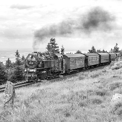 DSC 3131 : Germany, HSB, Harz