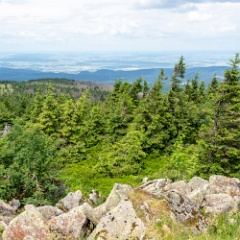 DSC 3145 : Germany, HSB, Harz