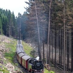 DSC 3182 : Germany, HSB, Harz
