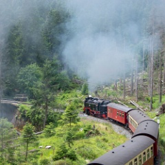 DSC 3190 : Germany, HSB, Harz