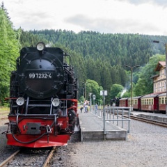 DSC3323 : Germany, HSB, Harz