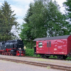 DSC3339 : Germany, HSB, Harz
