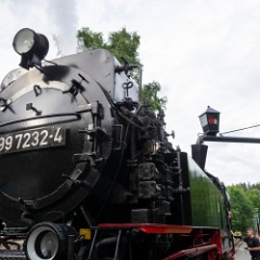 DSC3357 : Germany, HSB, Harz