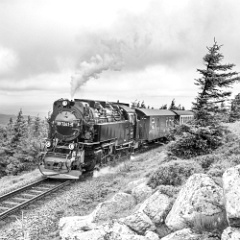 DSC3373 : Germany, HSB, Harz