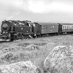 DSC3388 : Germany, HSB, Harz