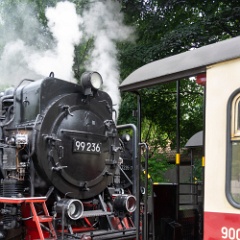 DSC3396 : Germany, HSB, Harz