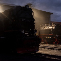 DSC3548 : Germany, HSB, Harz