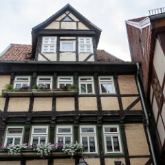 DSC3698 : Germany, HSB, Harz