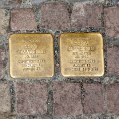 DSC3702 : Germany, HSB, Harz