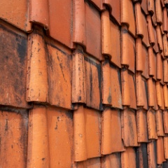 DSC3744 : Germany, HSB, Harz