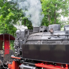 DSC3769 : Germany, HSB, Harz
