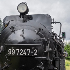 DSC3807 : Germany, HSB, Harz