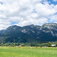 DSC4209 : Austria