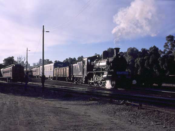 D3 639, having been turned, shunts the stock in Mildura yard. April 26 2002